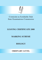 MS 2008.pdf